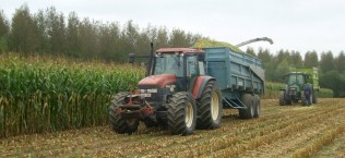 Agriculture en Hesbaye brabançonne